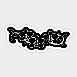 orchids, bloom, blossoms, floral, flower, flowery Sticker